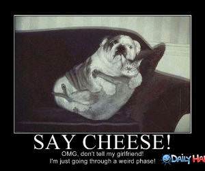 Say Cheese funny picture