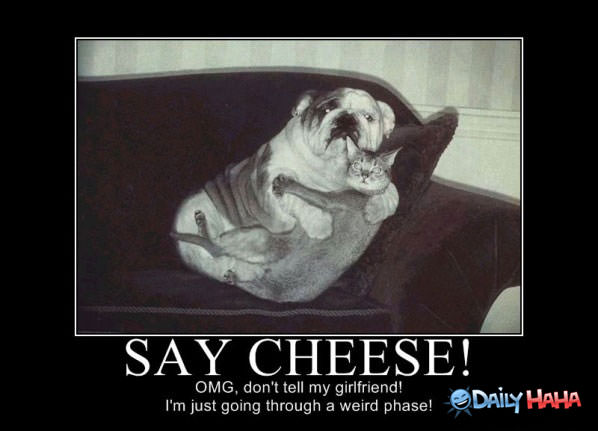 Say Cheese funny picture