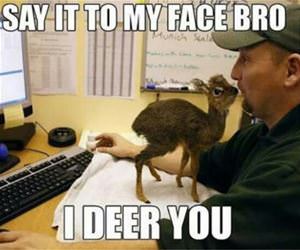 say it to my face funny picture