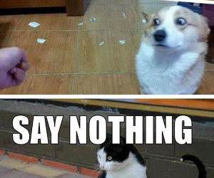 say nothing funny picture