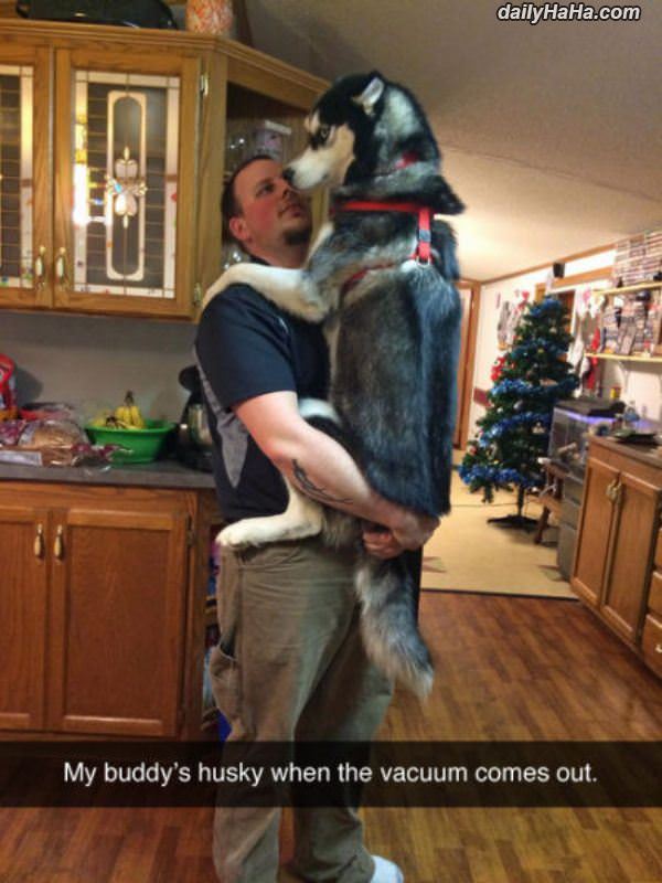 scared of the vacuum funny picture