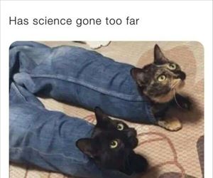 science has gone too far