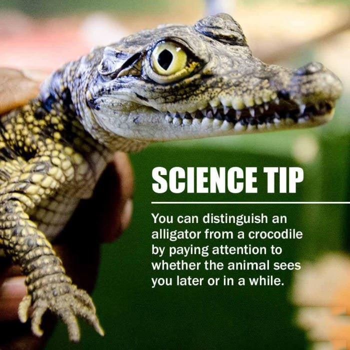 science tip funny picture