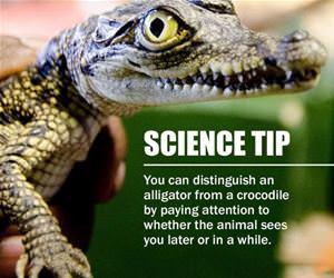 science tip funny picture
