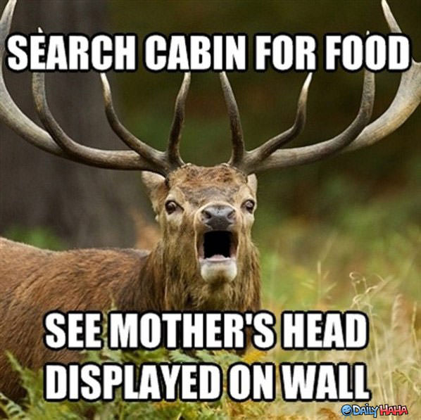 Search Cabin funny picture