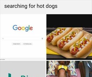 searching for hot dog