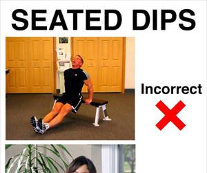 seated-dips