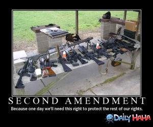 Second Amendment funny picture