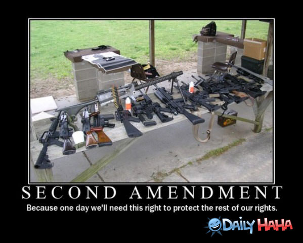 Second Amendment funny picture