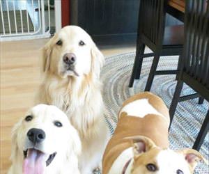 see if you can guess