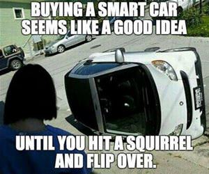 seems like a good idea funny picture