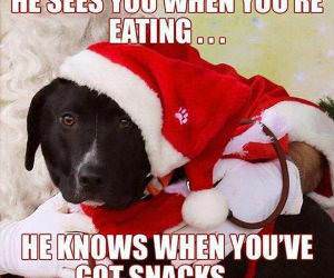 sees you when your eating funny picture