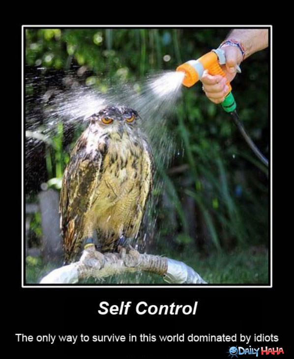 Self Control funny picture