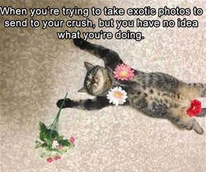 sending photos to your crush funny picture