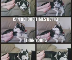 sense of smell funny picture