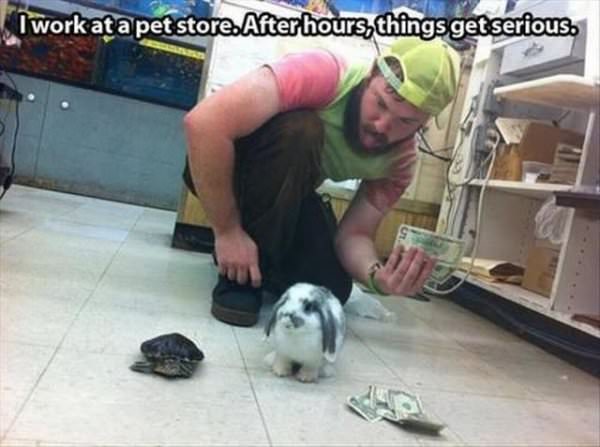 Serious Pet Store funny picture