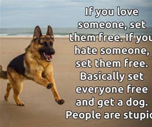 set them free funny picture