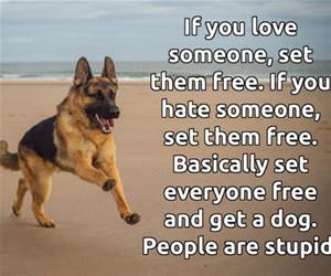 set them free funny picture