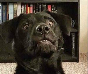 sets the ball down and gives me this face