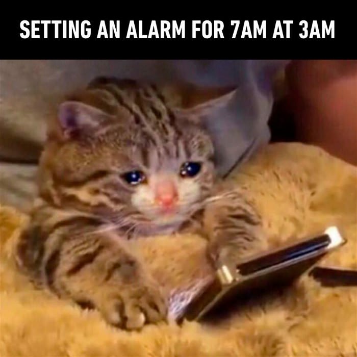 setting my alarm