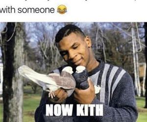 setting up your friends funny picture