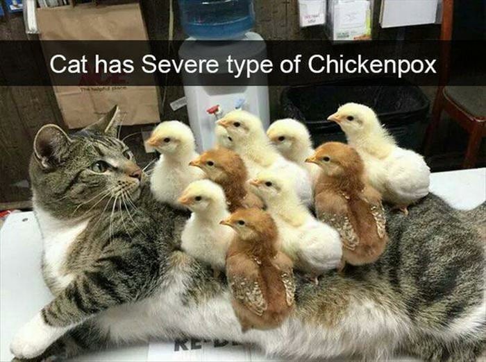 severe case of chickenpox ... 2