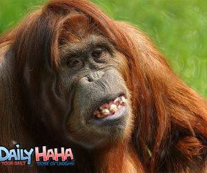 Picture of Wallys Mom