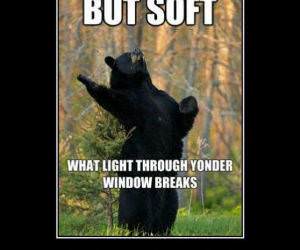 Shakesbear funny picture