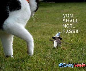 Shall Not Pass funny picture