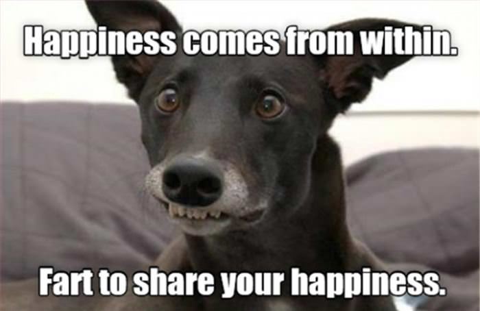 share your happiness funny picture