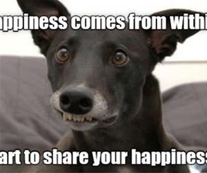 share your happiness funny picture