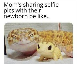 sharing a selfie