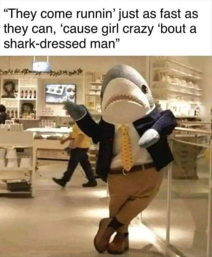 shark dressed man