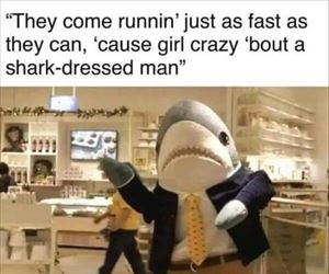 shark dressed man