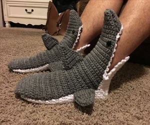 shark shoes