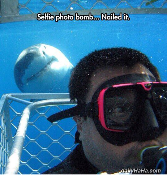 shark selfie photobomb funny picture