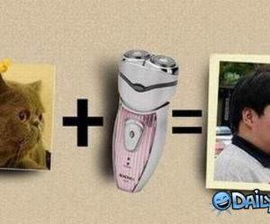 Shaved funny picture