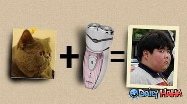 Shaved funny picture