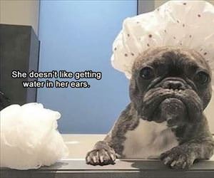 she does not like water