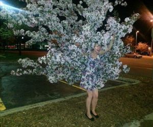 she is a tree now
