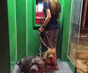 she brought protection funny picture