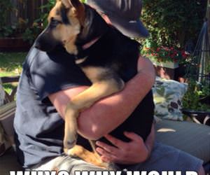 she just pretended funny picture