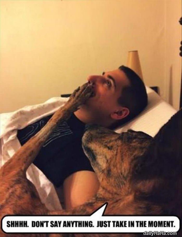 shhh dont say anything funny picture