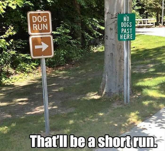 short run