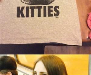 show me your kitties funny picture