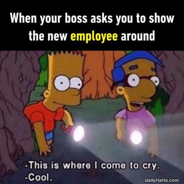 show the new employees around funny picture
