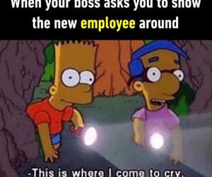 show the new employees around funny picture
