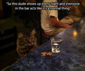 He Shows Up Every Night funny picture