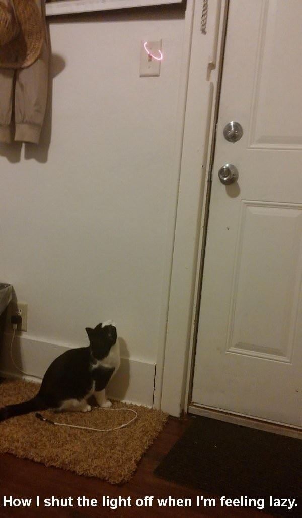 shutting off the lights funny picture