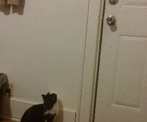 shutting off the lights funny picture